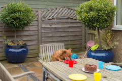 o_19jt3pjfu1qf41m4a90h1n3j18ft1d