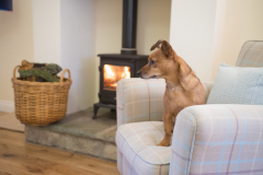 o_19jt3pjfv1mkv11u6opn18qh1n1n1r